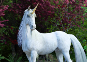 Uni的成功或將帶領「Defi牛市」持續；分析師：以太坊2.0可能救不了手續費難題