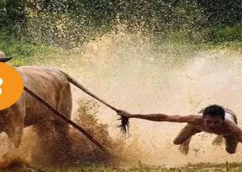 觀點｜比特幣「數位黃金」之路越走越高，但它還能保持絕對優勢多長時間？