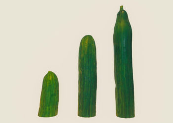 DeFi 乾貨｜一文解析「酸黃瓜 PICKLE」的價值捕獲能力