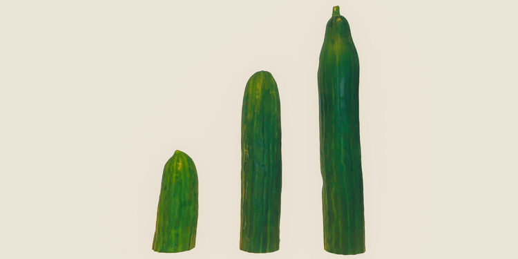 DeFi 乾貨｜一文解析「酸黃瓜 PICKLE」的價值捕獲能力