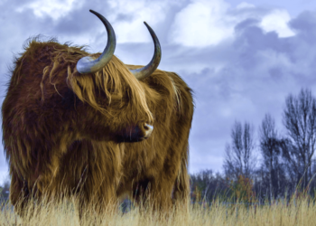 比特幣逼近 11500 美元「週漲 7%」，分析師歸納強力反彈兩大主因