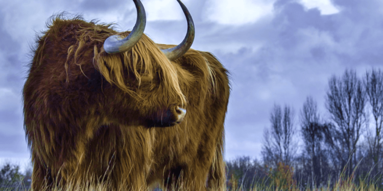 bullish btc 20201011 (1) | 動區動趨-最具影響力的區塊鏈新聞媒體 比特幣逼近 11500 美元「週漲 7%」,分析師歸納強力反彈兩大主因