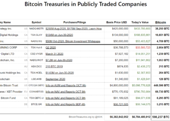 這 11 間上市公司「已掌控3.2%」的比特幣總供應量，這會是隱憂嗎？