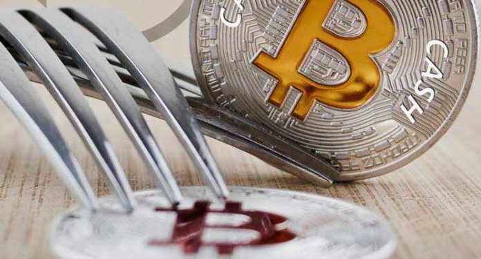 2020111600p2c1tifeuah | 動區動趨-最具影響力的區塊鏈新聞媒體 越買越虧!BCH分叉大跌,Grayscale「虧損50萬鎂」; Roger Ver抨擊:硬分叉將危及普及性