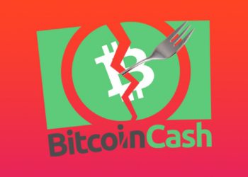 事件彙整｜BCH 硬分叉再至，這次卻對加密市場影響「微乎其微」