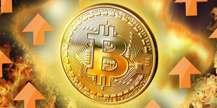 感恩節崩跌18%，彭博發文看漲BTC：投資績效遠勝「黃金美股」，且流動性明顯成長