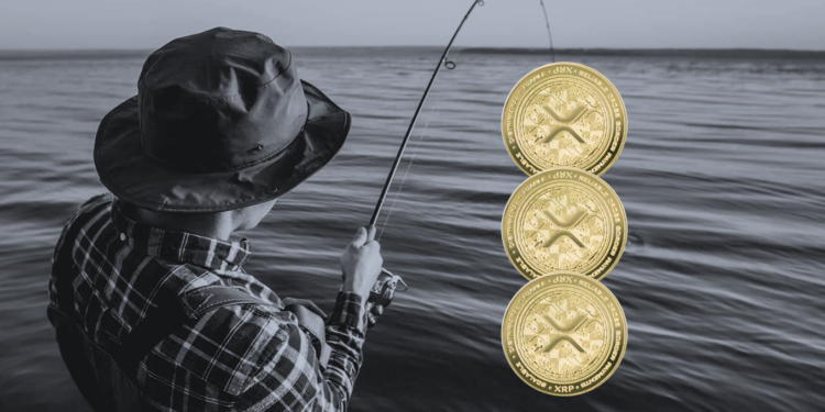 瑞波｜冷錢包 Ledger 驚傳大規模釣魚攻擊，駭客已盜走「28 萬美元 — 115萬顆 XRP」