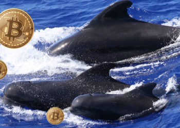 比特幣站上16,000，但17年泡沫陰影猶存？分析師：機構FOMO效應會讓下輪牛市更穩定