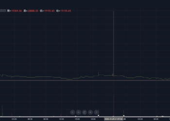 BTC避雷針？台灣比特幣昨晚「領先全球」觸及28,888美元，幣託: 已執行保護措施