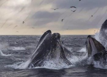 「5.7億美元比特幣」流出Coinbase，CryptoQuant：機構正將資產轉移至冷錢包