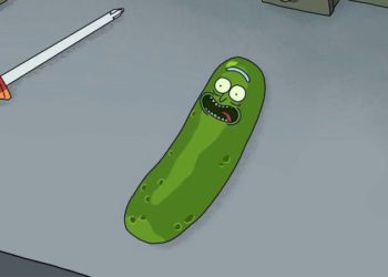 酸黃瓜、YFI 合併後最關注：新代幣 DILL 出現，有 PICKLE 為何還需要它？