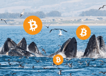 CryptoQuant 鏈上數據：機構資金持續流入！巨鯨幾乎都透過 OTC 買比特幣