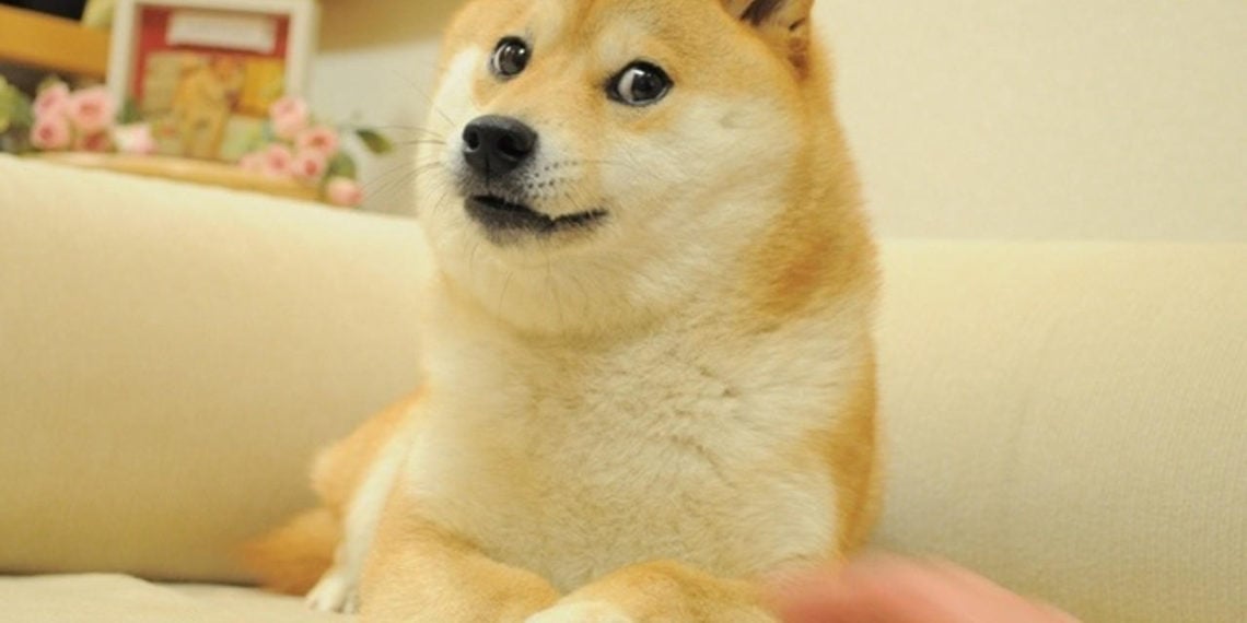Story about dogecoin | 動區動趨-最具影響力的區塊鏈新聞媒體 Story about dogecoin