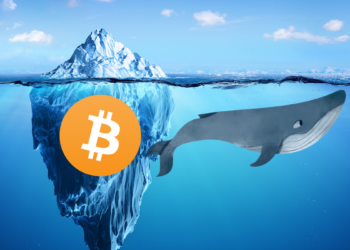 巨鯨玩法｜什麼是冰山策略？機構投資人是這樣「隱藏實際交易規模」的