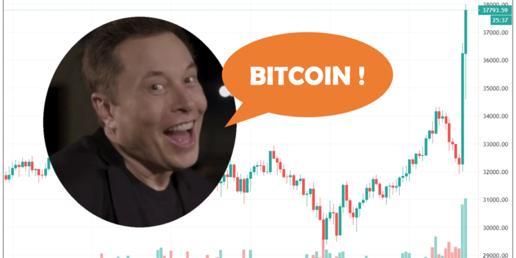 飛上火星！馬斯克改推特自介為比特幣，「BTC秒漲19%」成SpaceX火箭達37,990