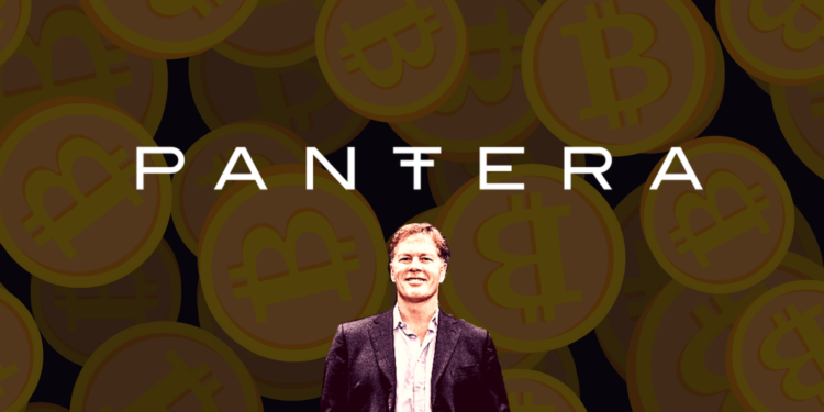 幣圈最大創投基金｜Pantera資本：為什麼我們相信，比特幣今年8月將達到115,000美元？
