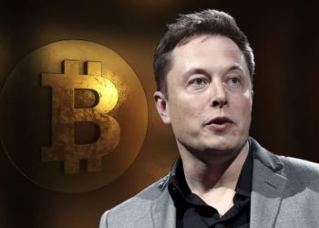 全球首富｜馬斯克：接受比特幣支付、考慮買狗狗幣；「特斯拉 比特幣」搜尋熱度飆升！