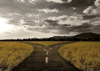 詳解 | DEX、Defi 交易所的發展前景：雙雙破歷史新高！Uni 與 Sushi 已分道揚鑣