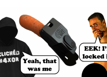 駭客攻擊情趣貞操帶！上鎖後要脅被害人付0.02BTC ，才肯「放他一鳥」