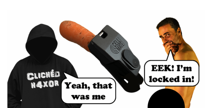 lhj_o3ihgggg | 動區動趨-最具影響力的區塊鏈新聞媒體 駭客攻擊情趣貞操帶!上鎖後要脅被害人付0.02BTC ,才肯「放他一鳥」