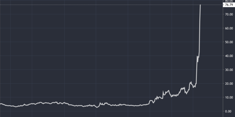 不滿被機構做空！Reddit 散戶集體大買GME股票，暴漲 8 倍「軋空大鯨魚」還觸發熔斷