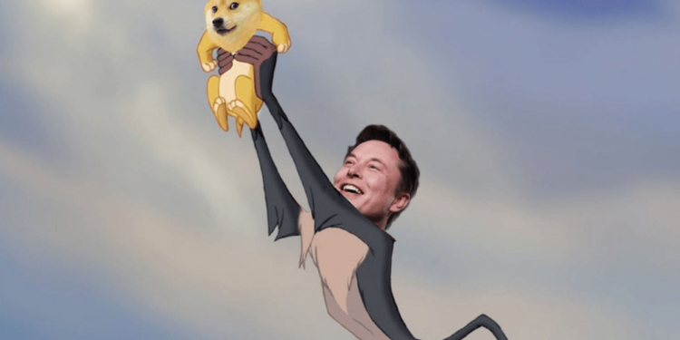 馬斯克回歸突襲！宣布遠離推特才兩天，一篇「狗狗幣獅子王圖」助Doge大漲 47%