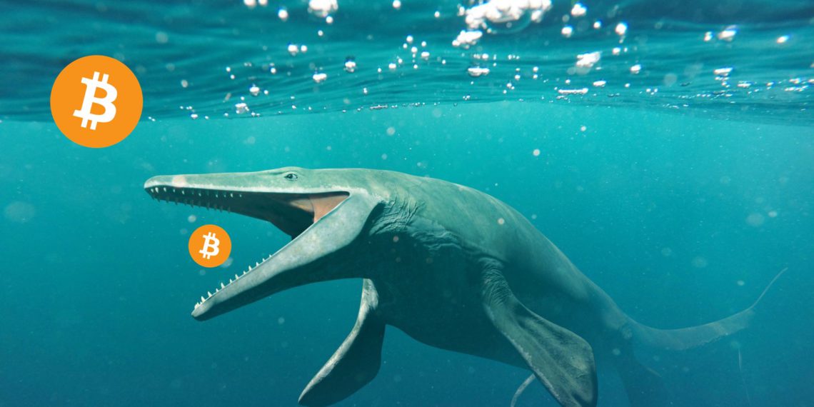 basilosaurus | 動區動趨-最具影響力的區塊鏈新聞媒體 塵封11年,遠古鯨魚轉移了100枚「中本聰時代」比特幣,現值500萬美元