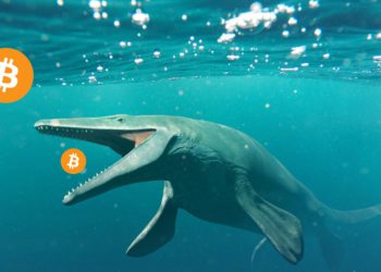 塵封11年，遠古鯨魚轉移了100枚「中本聰時代」比特幣，現值500萬美元