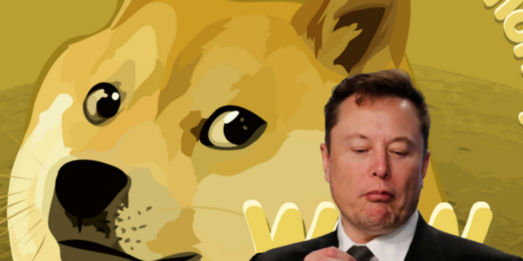 馬斯克被監管盯上！傳美國SEC將調查「狗狗幣推文」，DOGE聞訊跌超12%