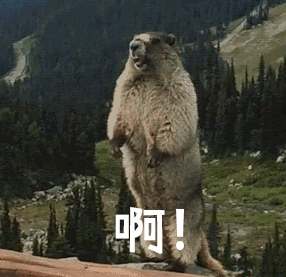 區塊鏈詐騙 - 啊～～～心聲