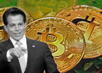 前白宮主任｜天橋資本創辦人：美國有望於年底推出首檔「比特幣ETF」