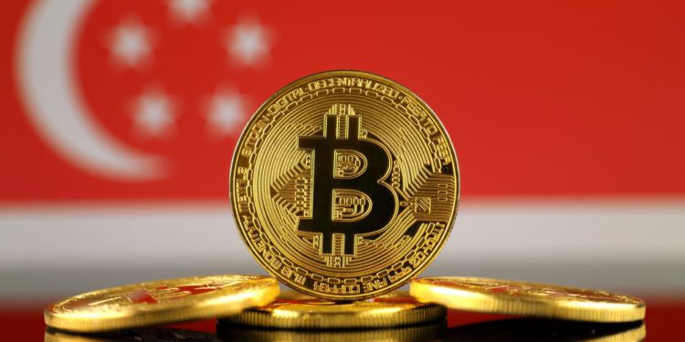 主權基金進場！新加坡「淡馬錫」傳向礦工買比特幣；紐西蘭養老基金 5% 投入BTC