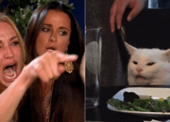 經歷比特幣「千元暴跌至200鎂」，Reddit鄉民2015年泣訴：Hodler丈夫毀了她的幸福