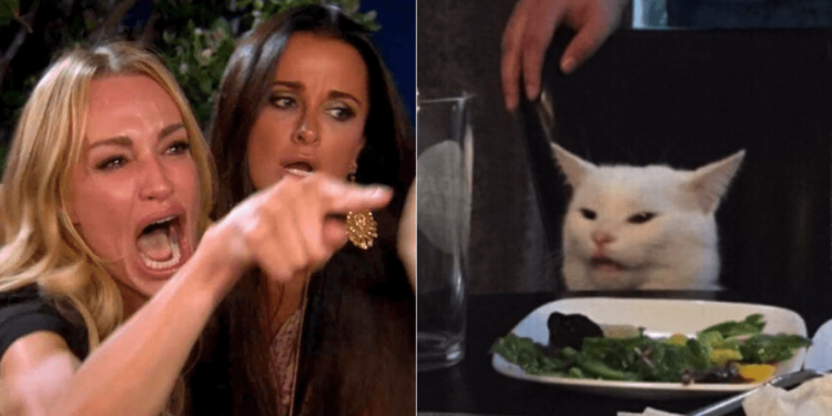 經歷比特幣「千元暴跌至200鎂」，Reddit鄉民2015年泣訴：Hodler丈夫毀了她的幸福