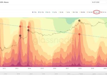 比特幣難道 6 萬止步？Glassnode「長期持有指標」表明，牛市可能才剛剛開始