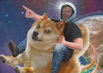 Elon Musk預言成真？狗狗幣 24 小時飆漲70%「破 0.1 美元」創歷史新高！