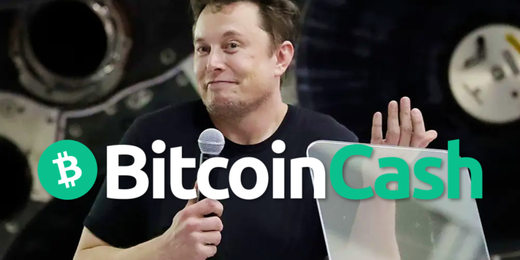 Source: Chris Carlson, AP Photo | 動區動趨-最具影響力的區塊鏈新聞媒體 誇口砸錢買111輛Model 3!YouTuber安利比特幣現金,希望特斯拉接受BCH支付