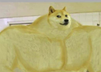 所以誰在買入狗狗幣？”交易量超過 80% 來自 USDT 等穩定幣” 透露了訊息……