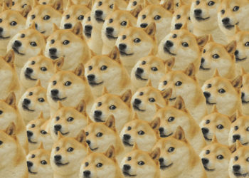 動物幣塞爆以太坊！手續費刷新高，Uniswap 一筆交易要價超 300 美元