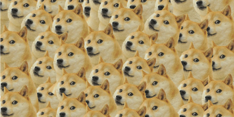 動物幣塞爆以太坊！手續費刷新高，Uniswap 一筆交易要價超 300 美元