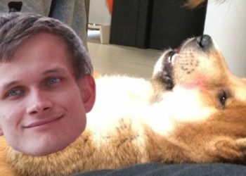 柴犬幣｜SHIB 狂歡派對要結束了嗎？誰在這場「造富效應」中獲利？