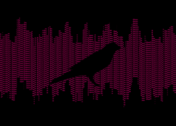 波卡生態逆勢大漲！Kusama創歷史新高，成功部署平行鏈 Shell，插槽拍賣即將展開