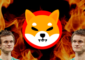 狠燒67億美元！Vitalik銷毀「410兆枚SHIB」幣價飆55%，嘆: 沒我允許，別再打幣給我