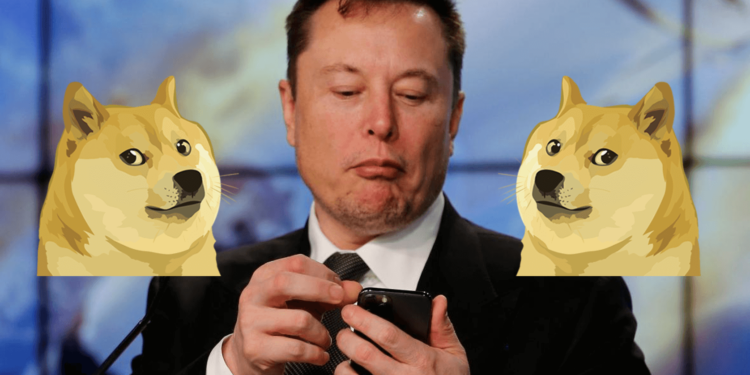 馬斯克關心您｜喊話「謹慎投資加密貨幣！」狗狗幣仍大漲 15%、收復 0.64 美元
