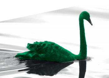 比特幣の數學課｜綠天鵝來襲！SBF給出碳中和公式，方舟投資 :  挖礦有助再生能源使用