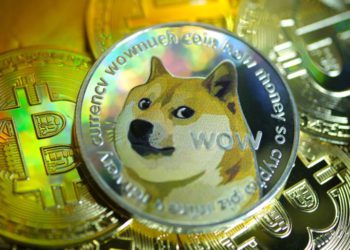 狗狗幣比以太坊還有名？調查顯示 : 美國人近30%認識DOGE、僅20%知道ETH