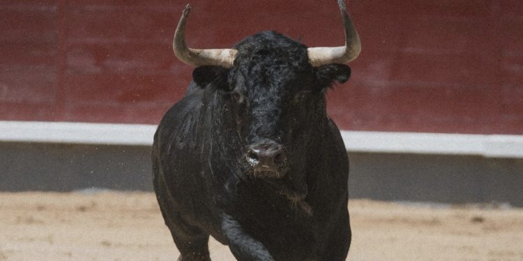 比特幣 519 創「25.6億美元」史上最高實際損失規模，比去年 312 高出近一倍！