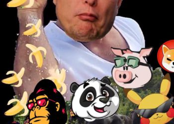 狗狗幣不夠看了？「動物迷因」正夯，熊貓 豬豬 青蛙幣… 2020「食物幣」熱潮再現？