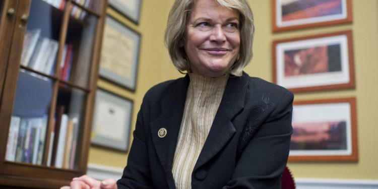 美參議員魯米斯：比特幣越跌、我買越多！加密貨幣監管應創造「公平競爭環境」