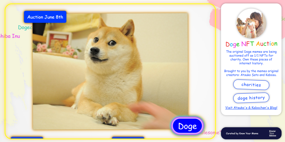 Doge柴犬迷因「Kabosu 真正日本主人」發NFT！Zora今日慈善競標已飆破3,500鎂